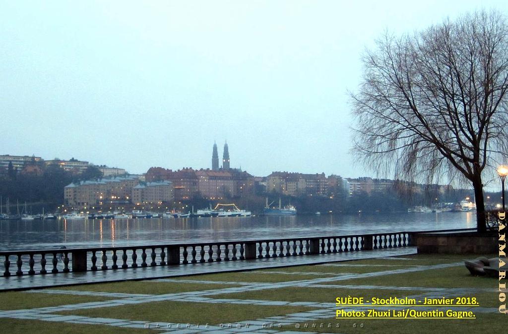 054- Suede.JPG